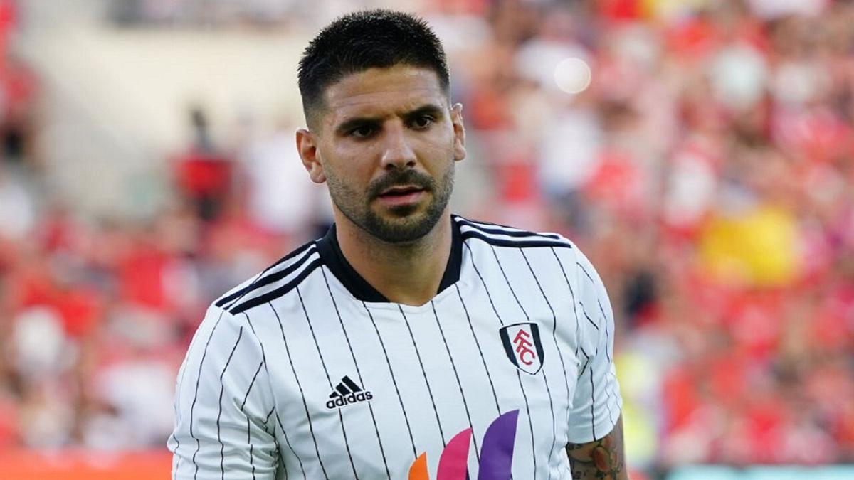 Aleksandar Mitrovic